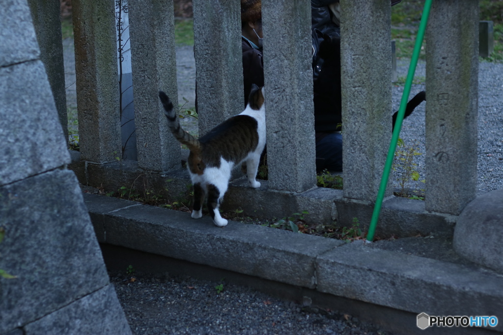 頭隠して・・・