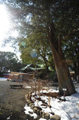 大宮八幡宮　2