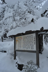 上杉神社　１