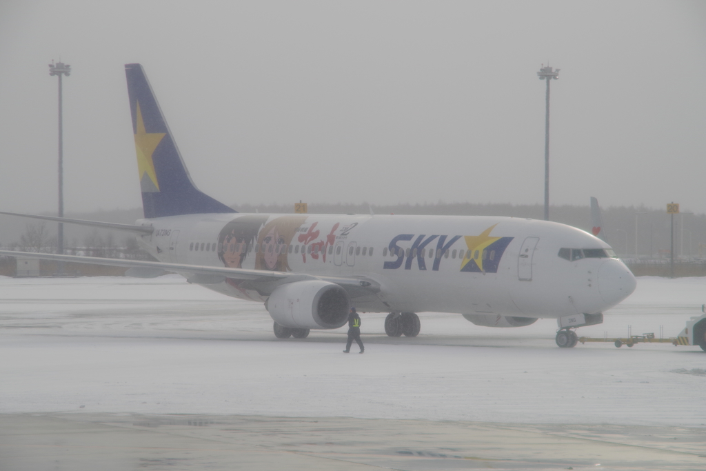 ｽｶｲﾏｰｸ ﾔﾏﾄ(JA73NG)737-800@新千歳1