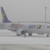 ｽｶｲﾏｰｸ ﾔﾏﾄ(JA73NG)737-800@新千歳1