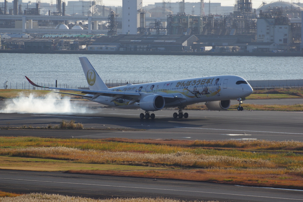 JAL(JA06XJ)A350-941[金の鶴丸]_1