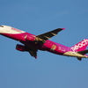 ピーチ(JA806P)A320-214@新千歳3