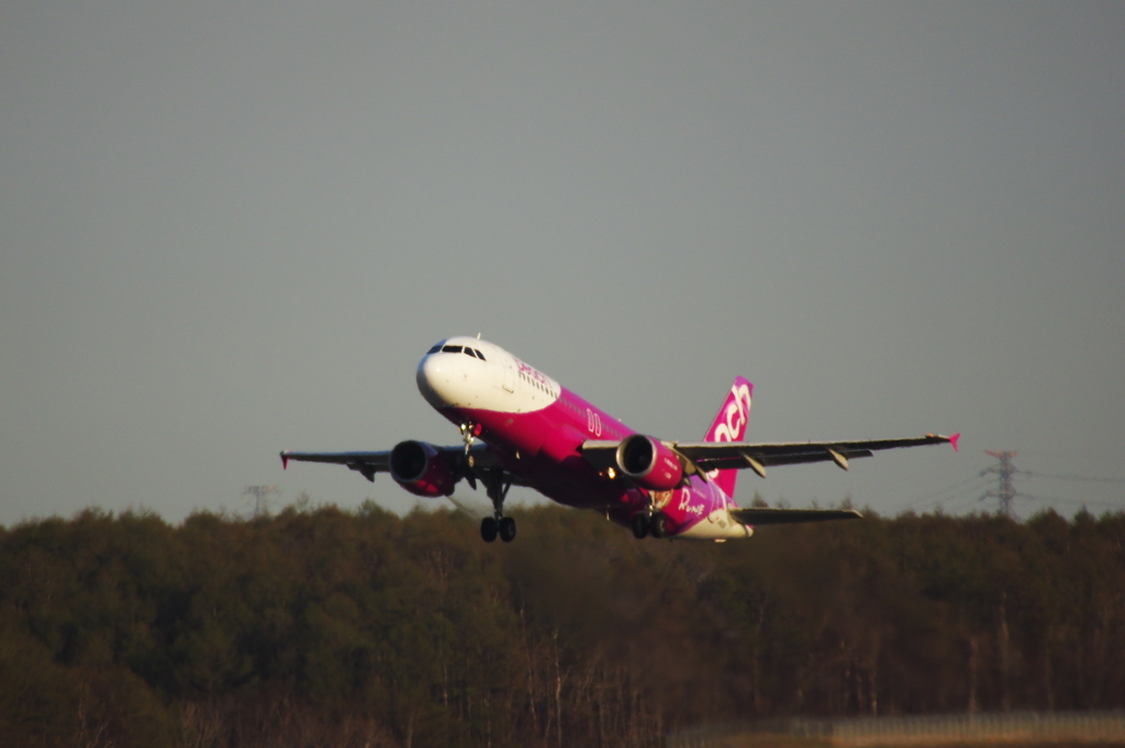 ピーチ(JA806P)A320-214@新千歳2