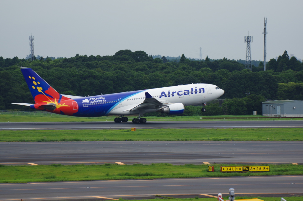 ｴｱｶﾗﾝ(F-OJSE)A330-202@成田