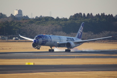 ANA R2-D2(JA873A)B787-9＠成田1