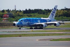 ANA[FLYING HONU](JA381A)A380-841@成田_02