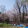 円山公園(1)1605
