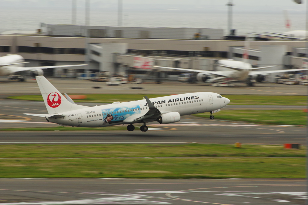 JAL[なつぞら](JA346J)737-846@羽田