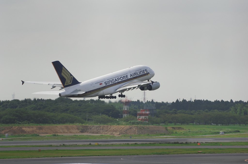 ｼﾝｶﾞﾎﾟｰﾙ航空(9V-SKK)A380@成田