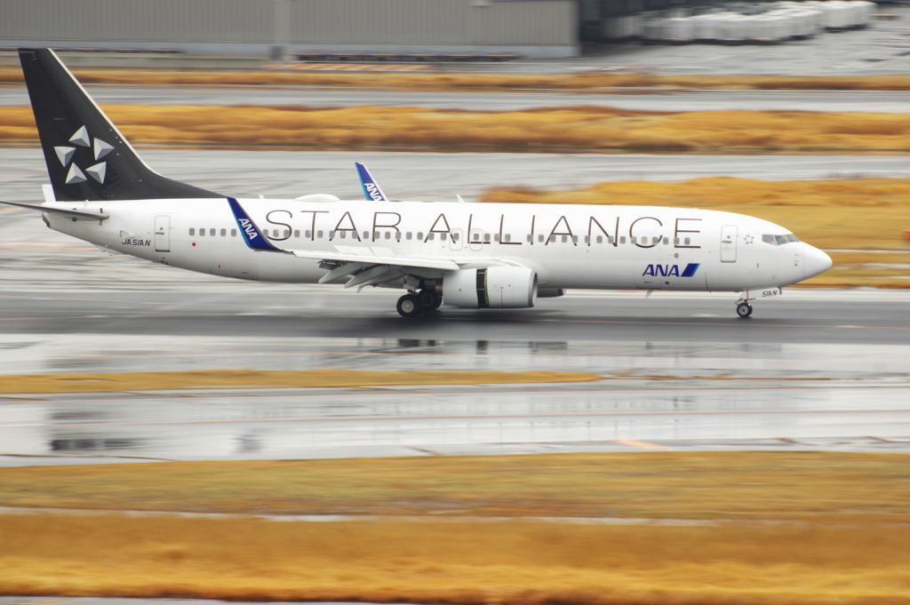 ANA(JA51AN)737-881[STAR ALLIANCE]@羽田