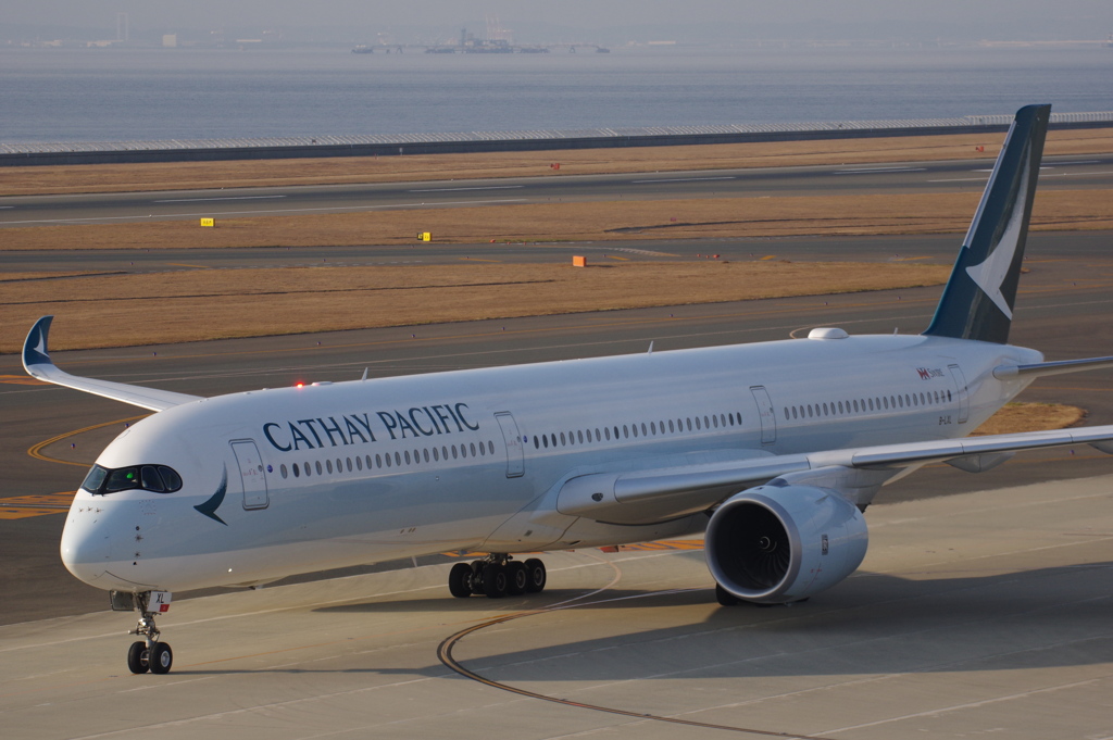 ｷｬｾｲﾊﾟｼﾌｨｯｸ(B-LXL)A350-1041@ｾﾝﾄﾚｱ