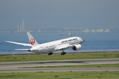 JAL(JA829J)787-8@ｾﾝﾄﾚｱ