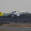 ﾛｲﾔﾙﾌﾞﾙﾈｲ航空(V8-RBD)A320-251N@成田
