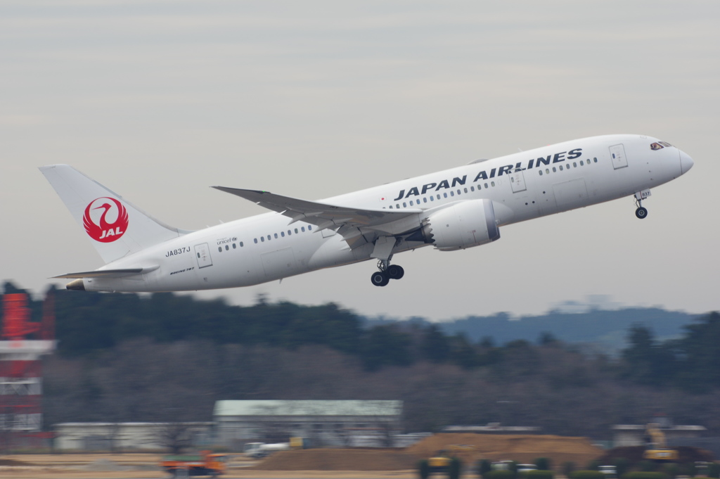 JAL(JA837J)787-8@成田