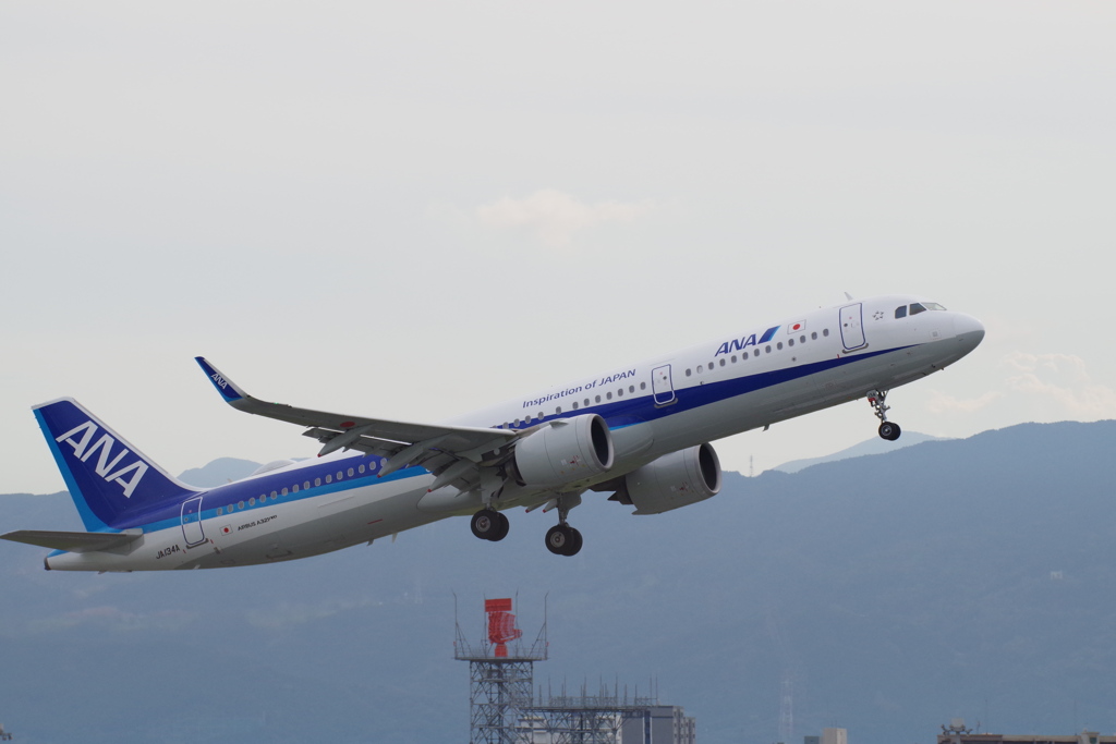 ANA(JA134A)A321-272N@福岡