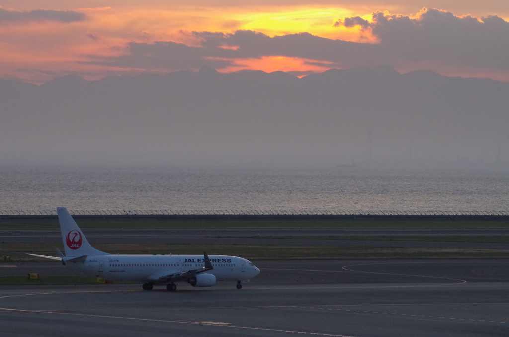 JAL(JA316J)夕焼け