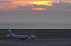 JAL(JA316J)夕焼け