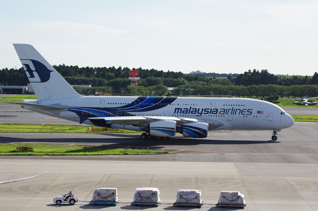 ﾏﾚｰｼｱ航空(9M-MNC)A380@成田_1