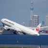 JAL(JA736J)777-346ER@羽田