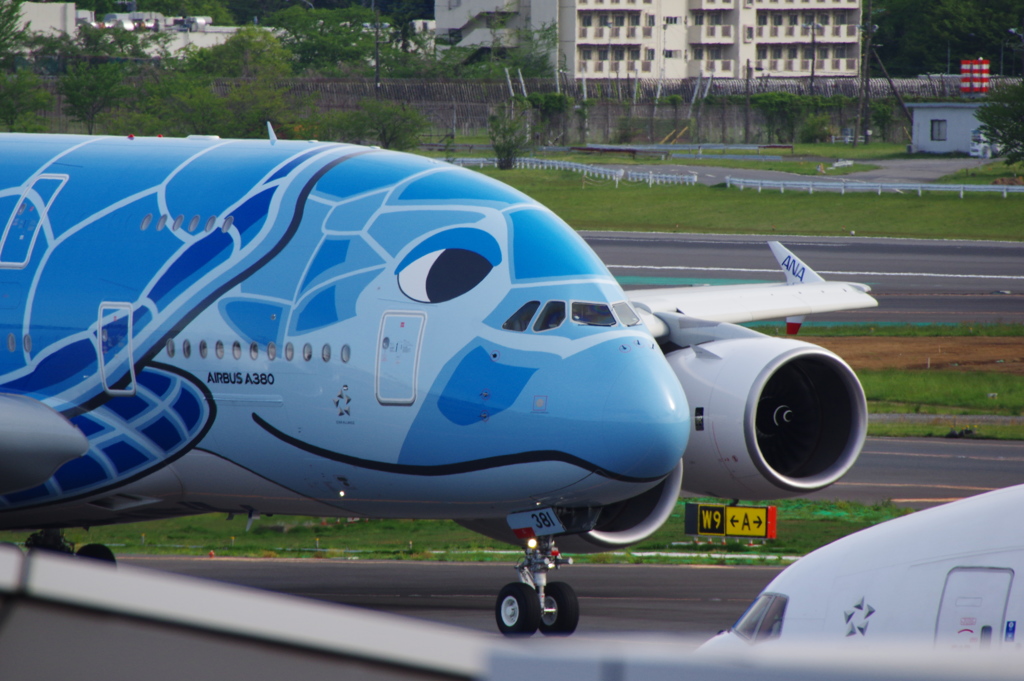 ANA[FLYING HONU](JA381A)A380-841@成田_03