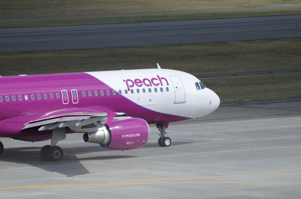 ﾋﾟｰﾁ(JA812P)A320-200@新千歳1