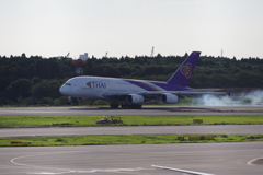 ﾀｲ国際航空(HS-TUB)A380-841@成田