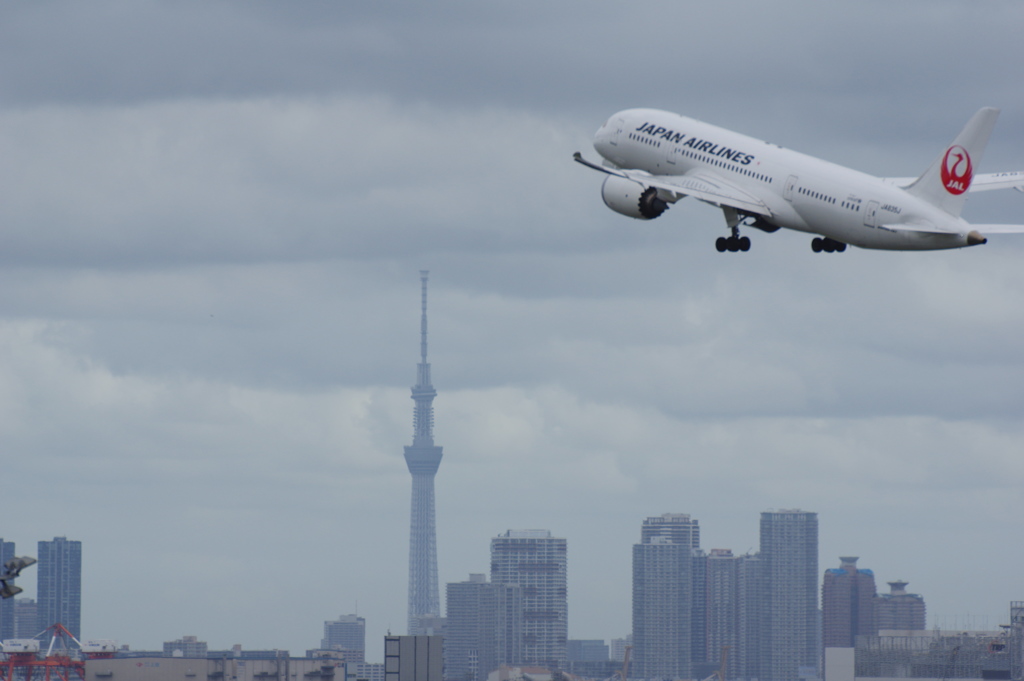 JAL(JA835J)787-8@羽田
