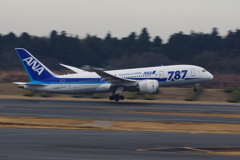 ANA(JA813A)787-8@成田