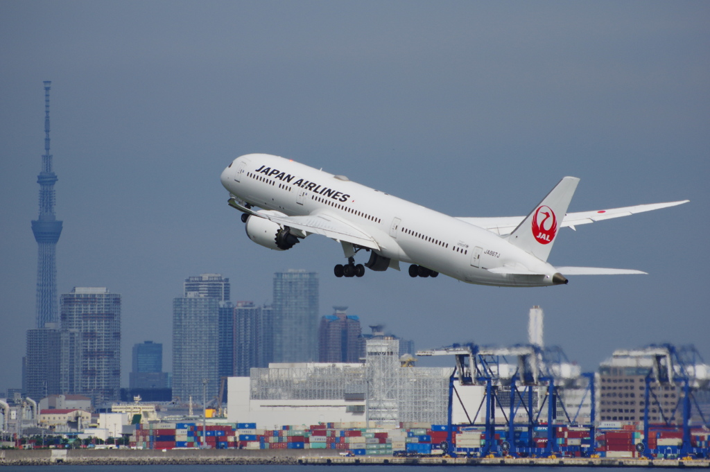 JAL(JA867J)787-9@羽田