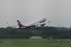 ｱｴﾛ･ﾌﾛｰﾄﾛｼｱ航空(VQ-8QZ)A330-343X@成田