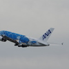 ANA[FLYING HONU](JA381A)A380-841@成田_07