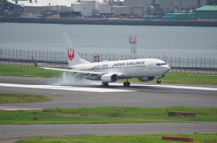 JALﾊｯﾋﾟｼﾞｬｰﾆｰｴｸｽﾌﾟﾚｽ(JA318J)737-800@羽田3