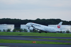 JAL(JA826J)787-8@成田