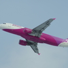 ピーチ(JA801P)A320-214@新千歳