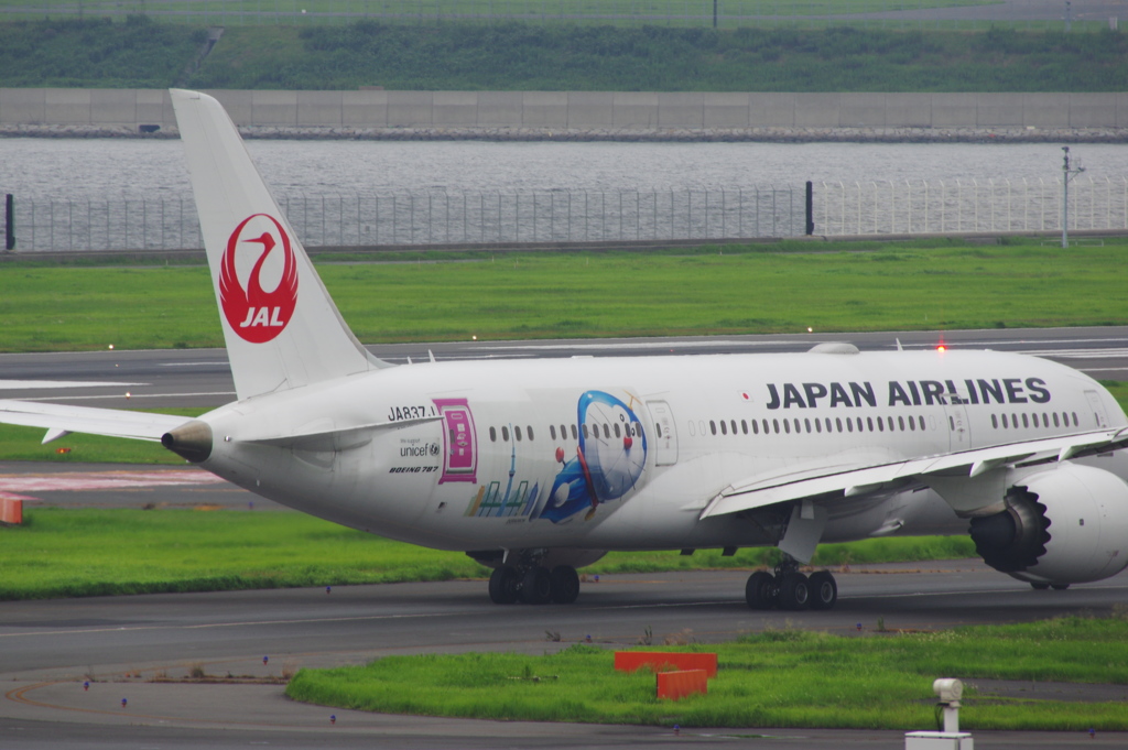 JALドラえもん(JA837J)787-8@羽田1
