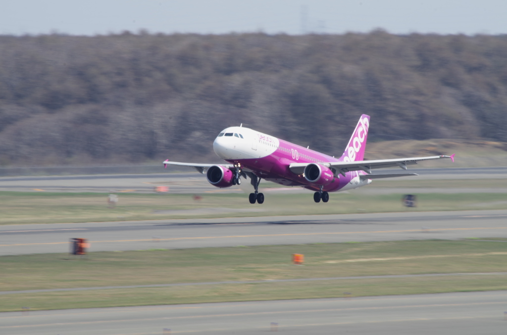 ﾋﾟｰﾁ(JA812P)A320-200@新千歳2