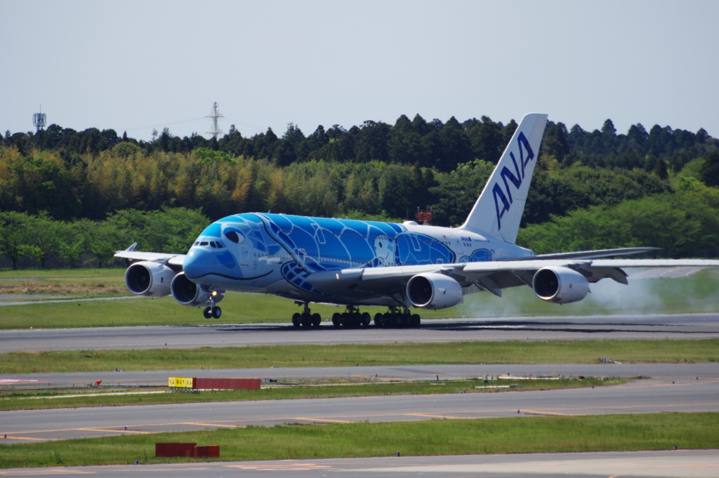 ANA[FLYING HONU](JA381A)A380-841@成田_01