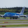 ANA[FLYING HONU](JA381A)A380-841@成田_01