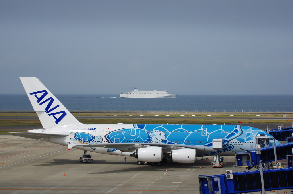 ANA(JA381A)A380-841[FLYING HONU]@ｾﾝﾄﾚｱ