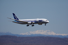 ANA(JA816A)787-8@新千歳