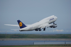 ﾙﾌﾄﾊﾝｻﾞﾄﾞｲﾂ航空(D-ABYH)B747-8@羽田