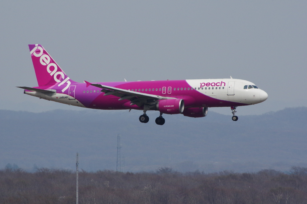 ﾋﾟｰﾁ(JA804P)A320-214@新千歳