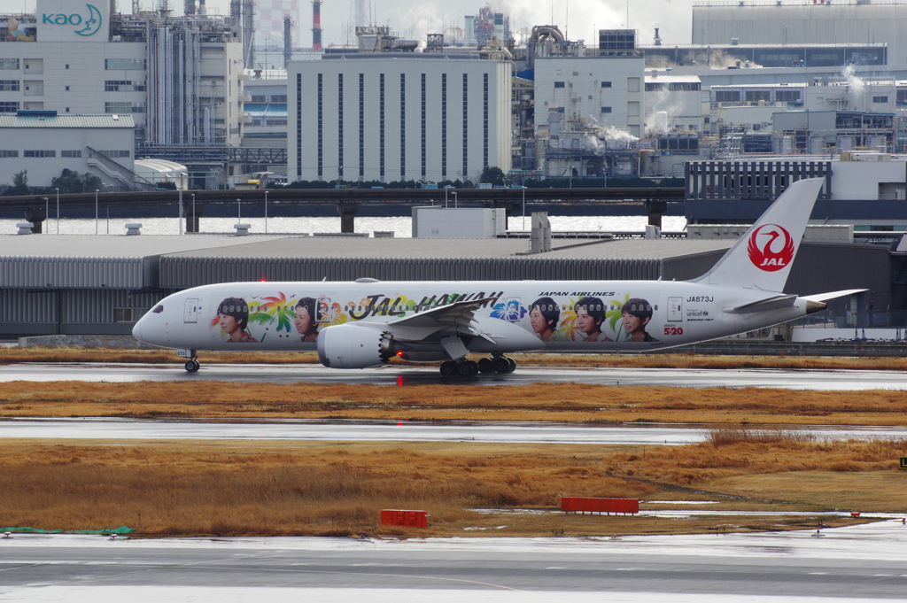 JAL(JA873J)787-9[ARASHI HAWAII JET]@羽田