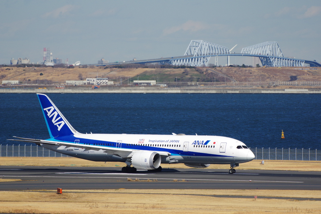 ANA(JA838A)787-8@羽田