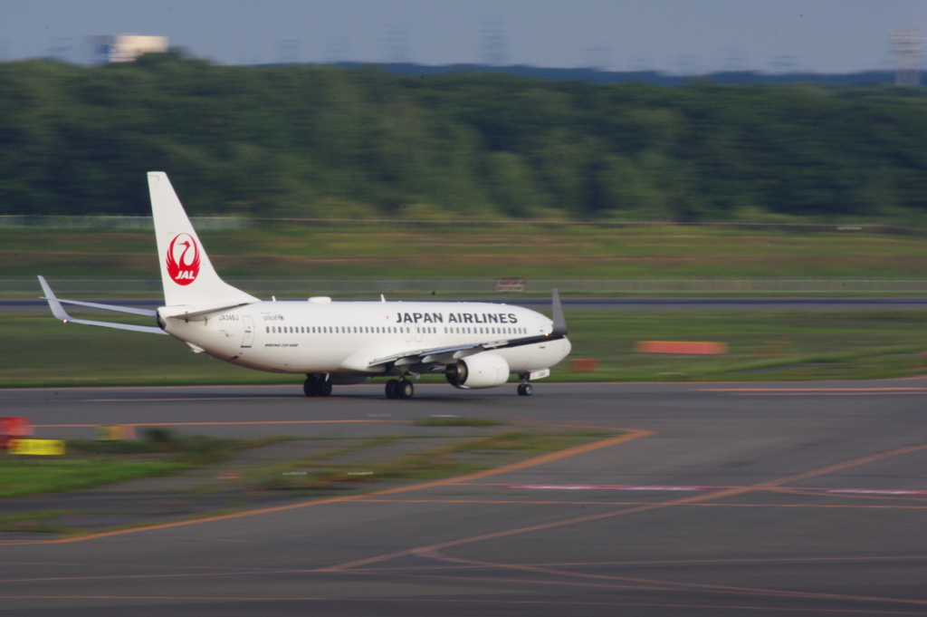 JAL(JA346J)737-846@新千歳