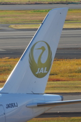 JAL(JA06XJ)A350-941[金の鶴丸]_3