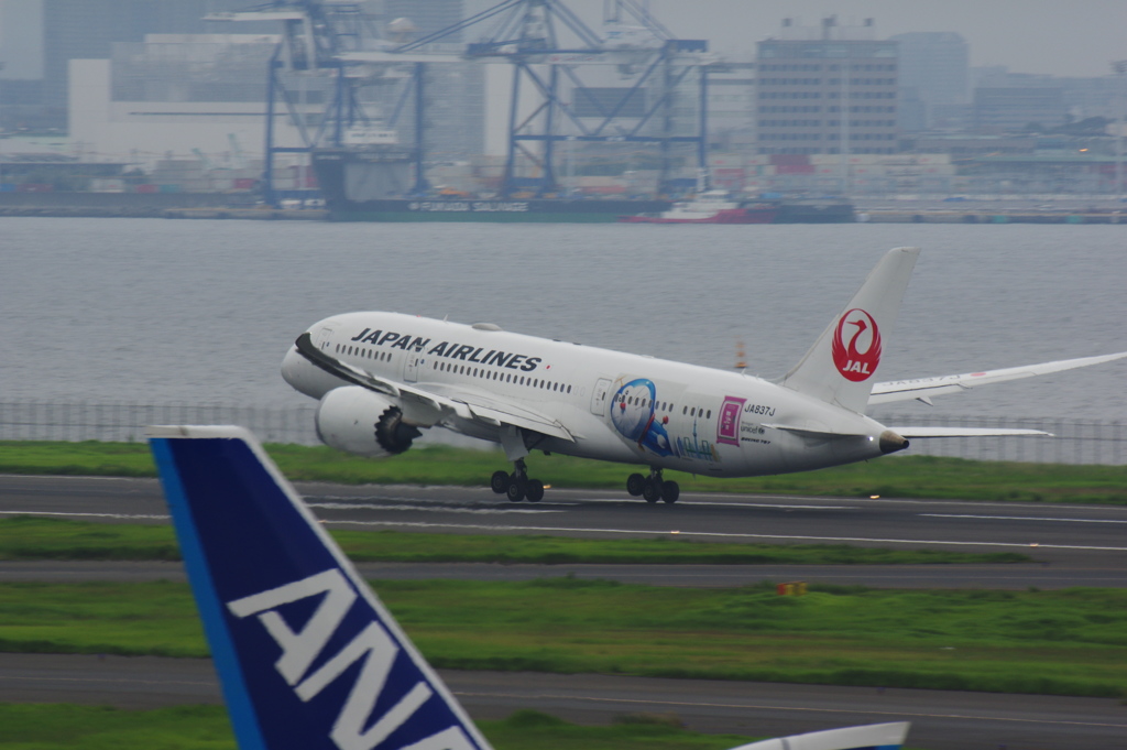 JALドラえもん(JA837J)787-8@羽田3