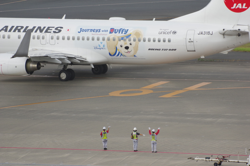 JALﾊｯﾋﾟｼﾞｬｰﾆｰｴｸｽﾌﾟﾚｽ(JA318J)737-800@羽田1