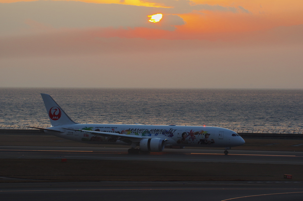 JAL[ARASHI HAWAII JET](JA873J)787-9@ｾﾝﾄﾚ